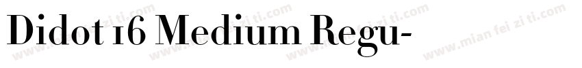 Didot 16 Medium Regu字体转换